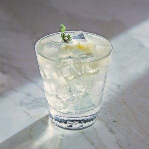 Lunar Mule